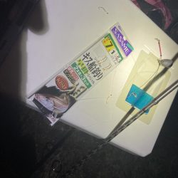 ちょい投げシロギスタ夜明けのリベンジマッチ