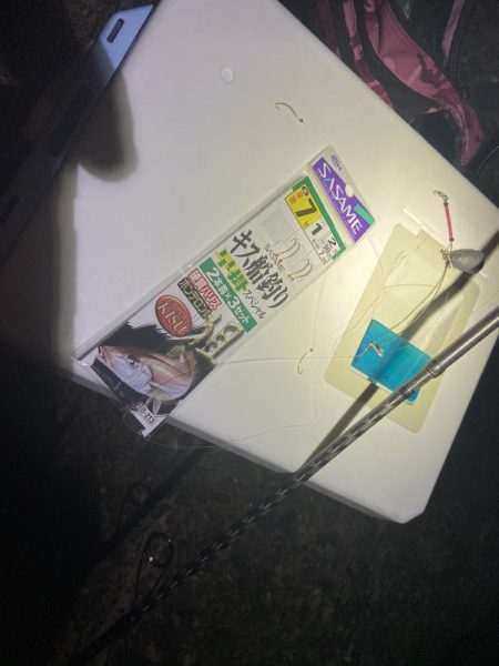 ちょい投げシロギスタ夜明けのリベンジマッチ