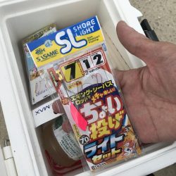 お手軽ハゼ釣り
