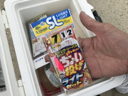 お手軽ハゼ釣り