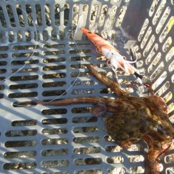 相変わらず渋い