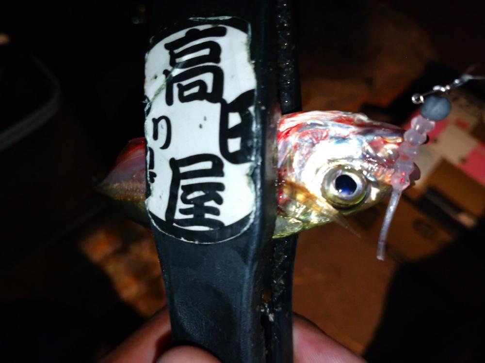 セリアで豆アジ