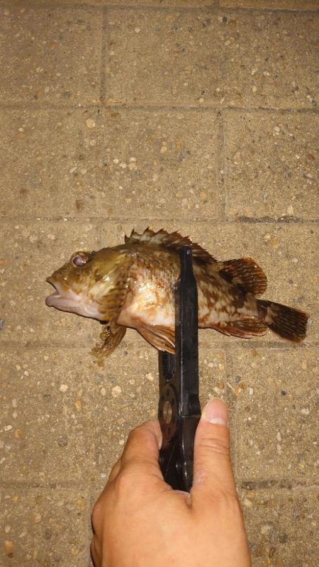 思ってたのと違いますやん！