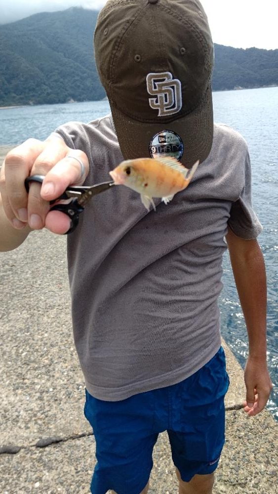 良型のカワハギ