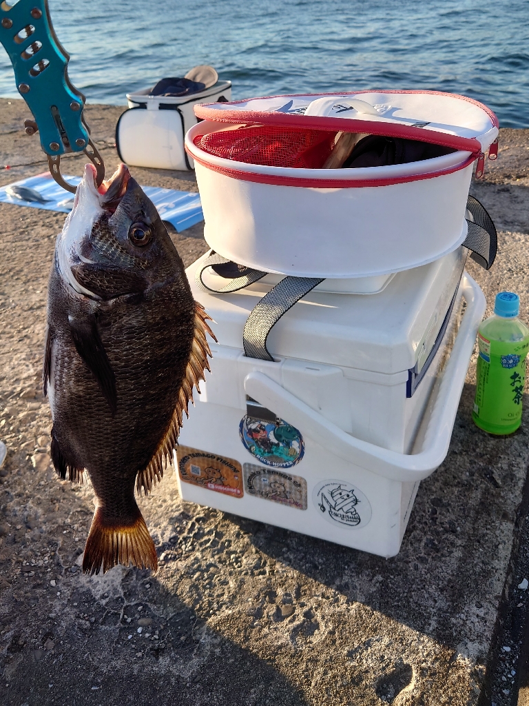 紀州釣り第2戦💦