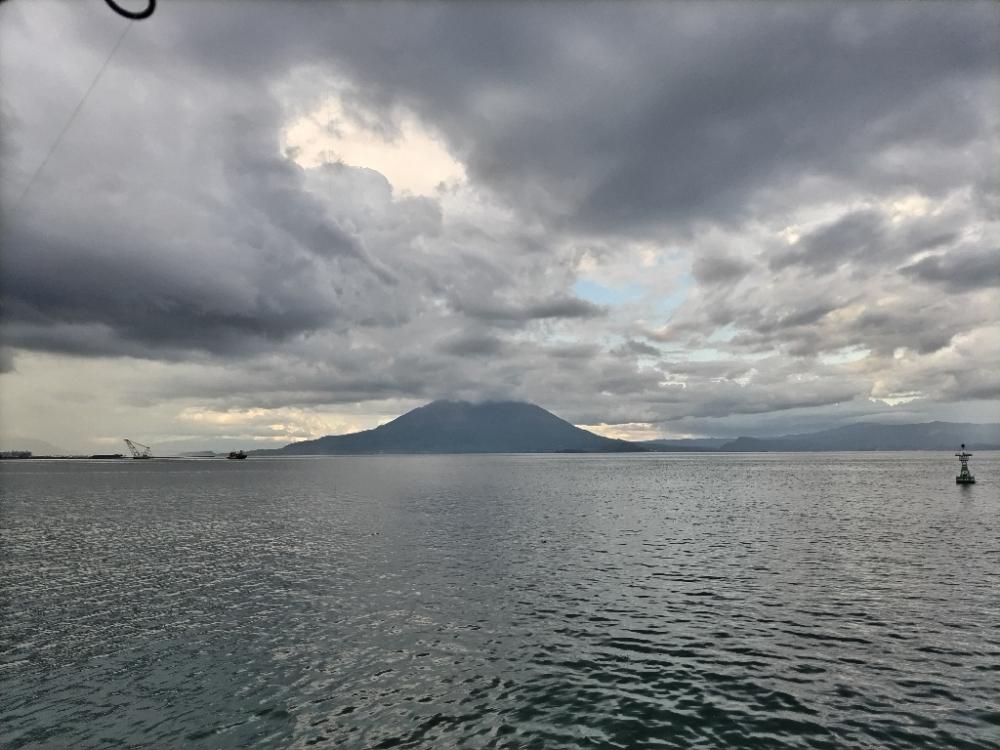フグとネイゴ(カンパチ幼魚)釣れました。