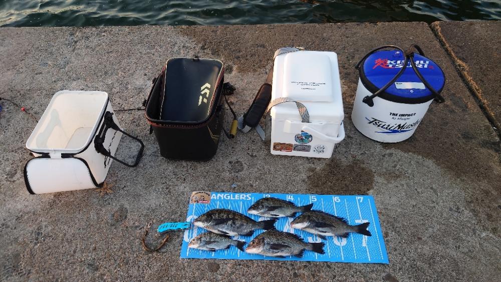 紀州釣り第3戦🥵