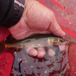 ぶっ飛ぶ目印2日目