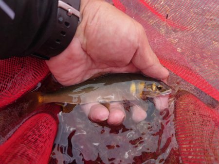 ぶっ飛ぶ目印2日目