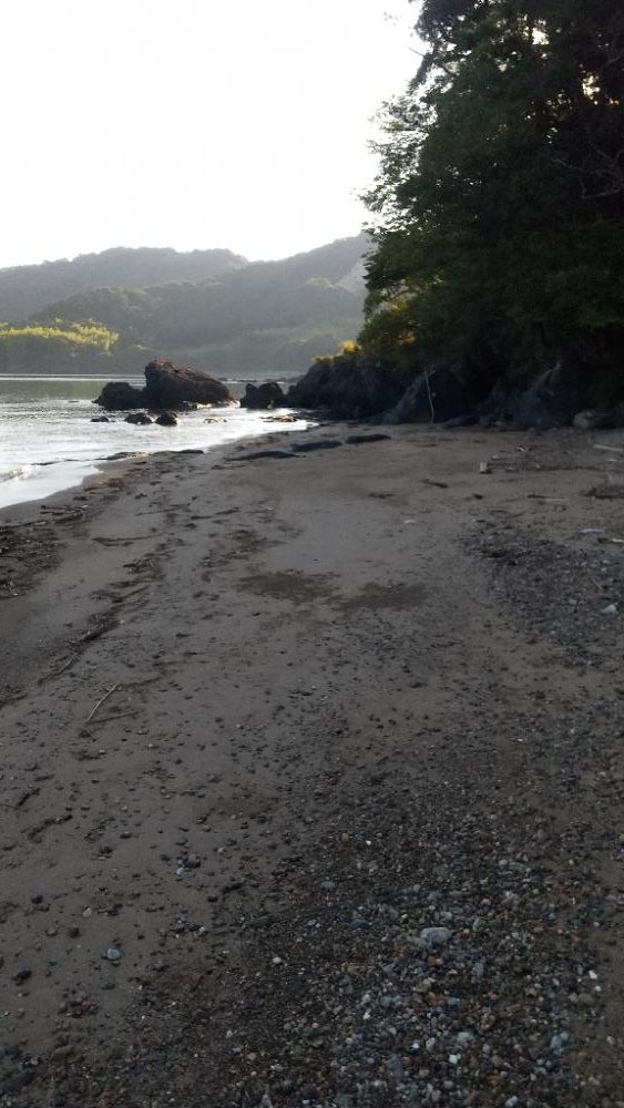 キスサイズ更新