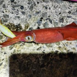 真夏のターゲット