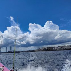 ライトアジをつり幸で。