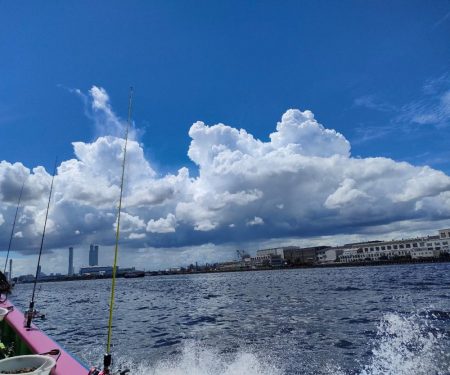 ライトアジをつり幸で。