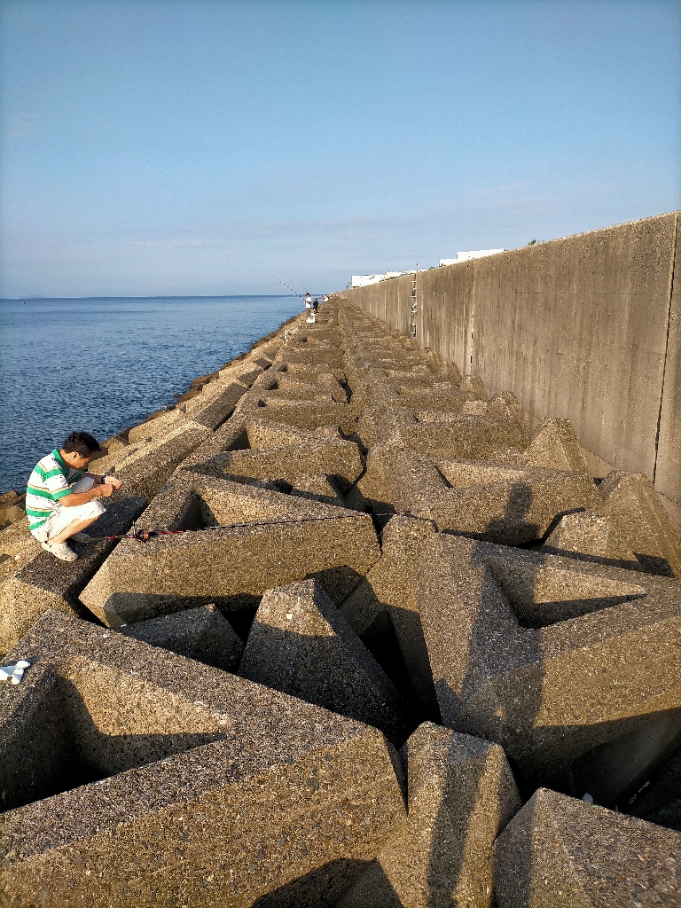 数・サイズ共に安定のキス!!