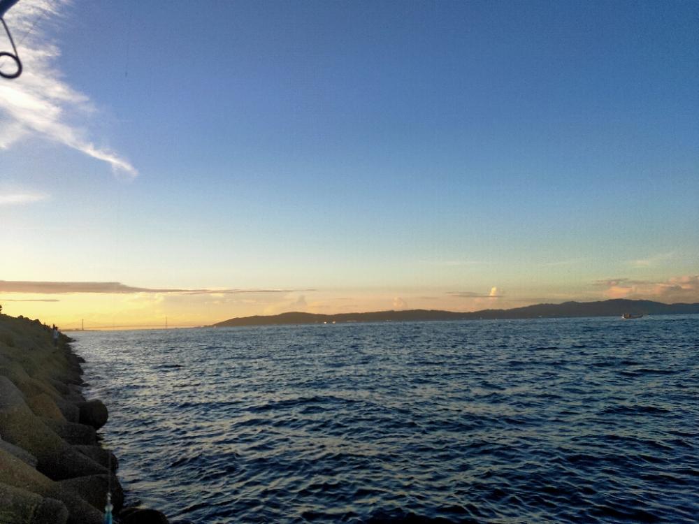 青物不在、坊主逃れのシーバス