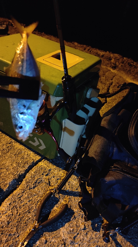 昼釣りからの夜釣り