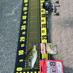 3日間狙って釣れたのは？