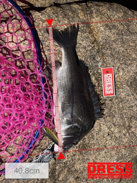 釣れそうな気がしたので