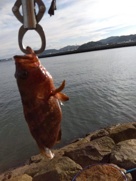 真夏の連続釣果にびっくりしてます。