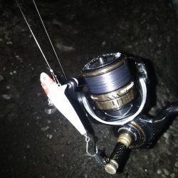 沈みテトラ付近でヒット