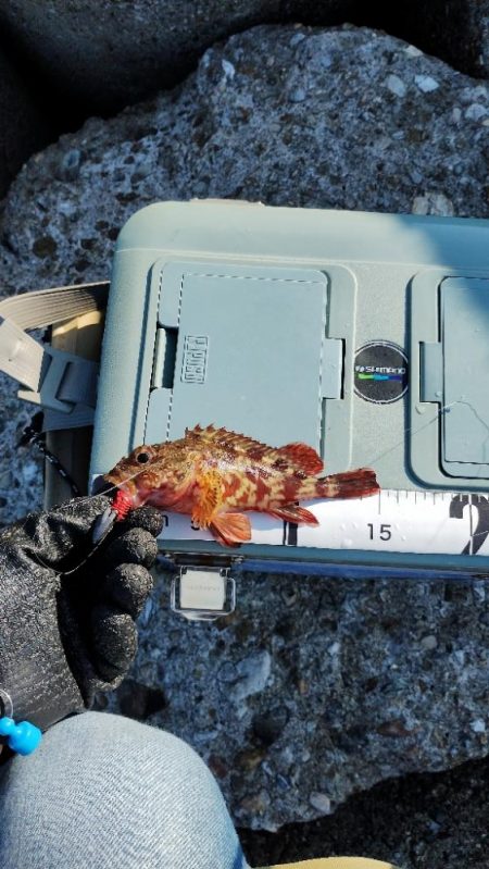 色々気が散って