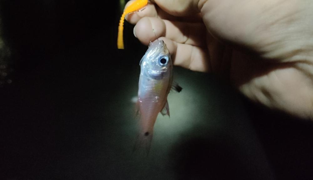 台風から逃げて山口遠征