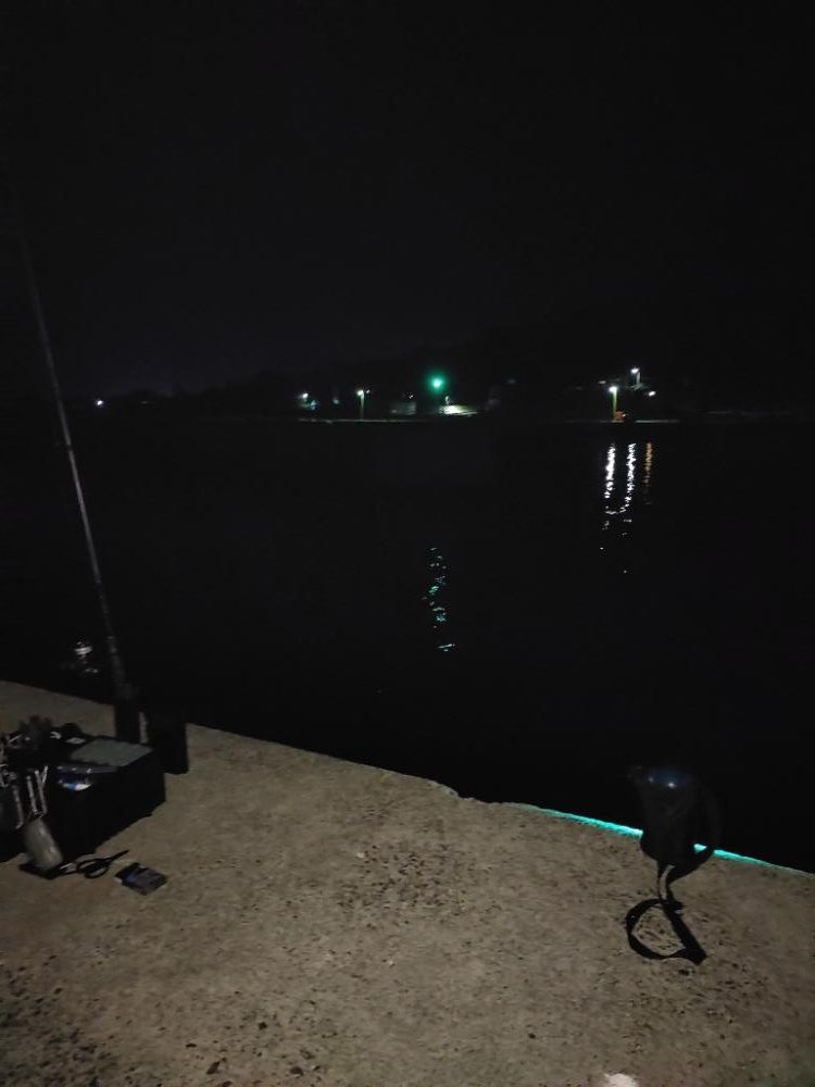 エギング＠鹿児島