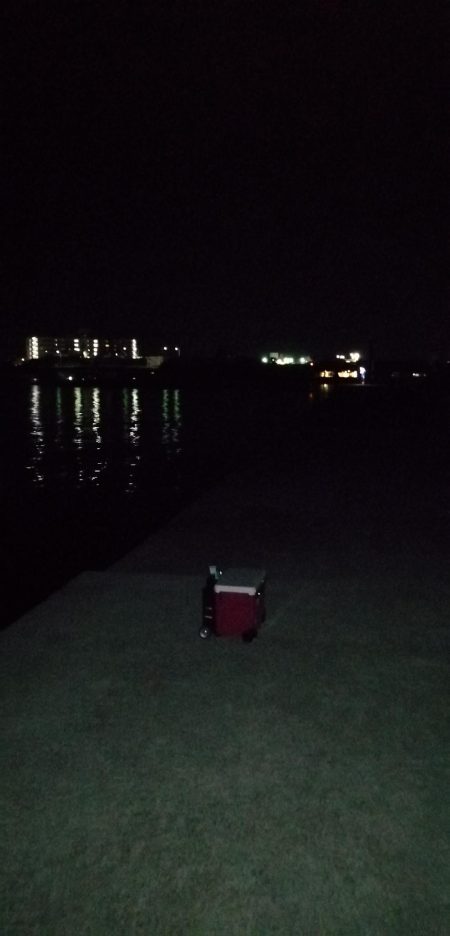 タチウオ高活性