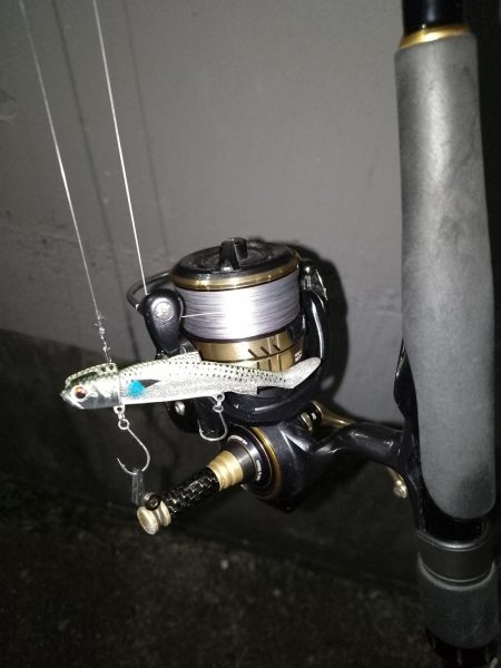 ボウズ逃れのキビレ