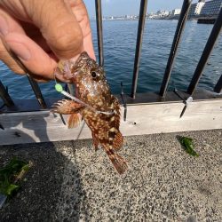 アジしか勝たん