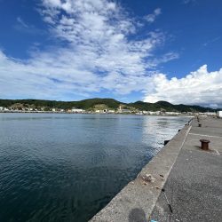 留萌でサビキ釣り