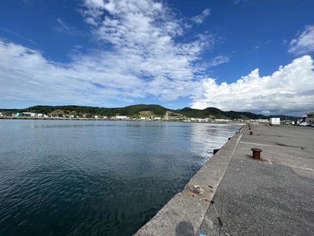留萌でサビキ釣り