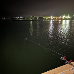 初道北フィッシング日本最北端での釣り