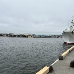 稚内でサビキ釣り