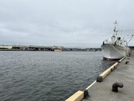 稚内でサビキ釣り