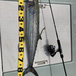 真夏のジギングチャレンジ