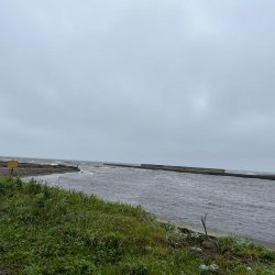 あの幻のイトウが釣れる!?