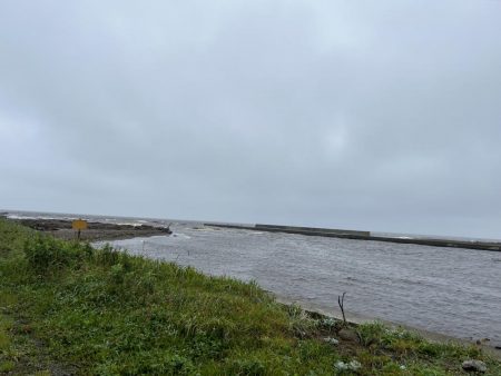 あの幻のイトウが釣れる!?