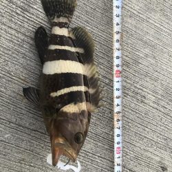 恒例　お盆休みの釣り