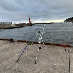 礼文島初日に、念願の魚が２匹とも釣れる!?