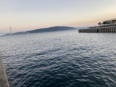 夕涼みファミリーフィッシング