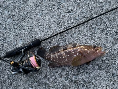 2023 佐渡ヶ島 ライトゲーム&キジハタゲーム 8月14日