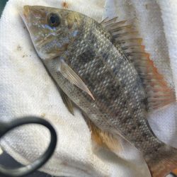 いろいろ楽しい