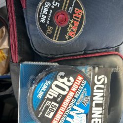 キビレにセイゴ！