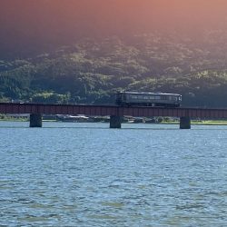 久々のキス釣り