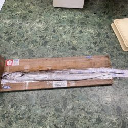 ★★メーター超えの奴が来た★★