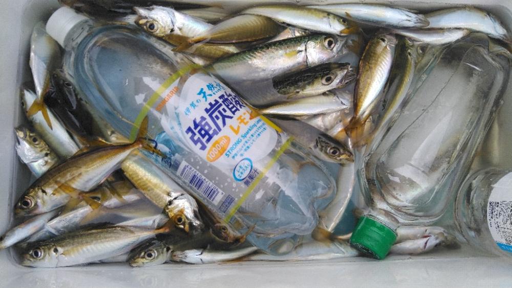 夏休み最後の釣り