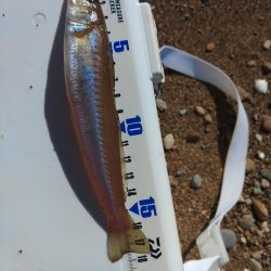 無理はきんもの！