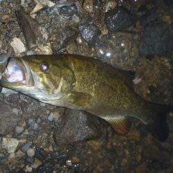 減水続き　その２