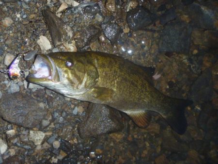 減水続き　その２